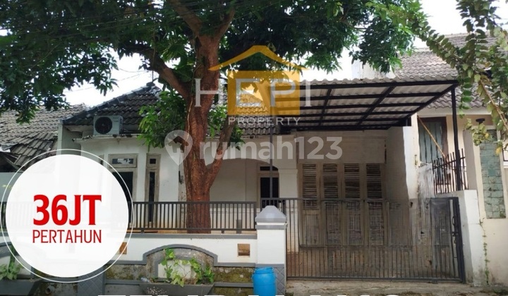 Disewakan Rumah Di Tembalang Dekat Undip Semarang  1
