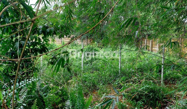 Lahan Kosong Di Tengah Kota Jalan Riau Pekanbaru  1