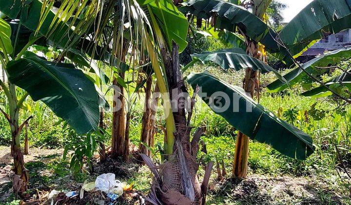 TANAH KAPLING KAWASAN KOMERSIAL SOEKARNO HATTA  2