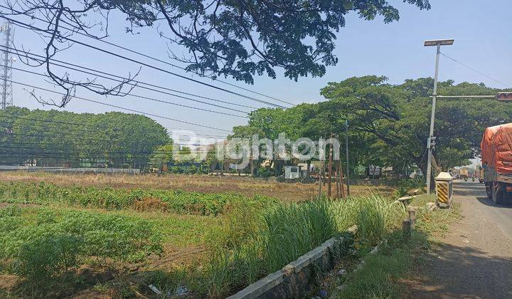 TANAH STRATEGIS JALAN RAYA SEMARANG KENDAL 1