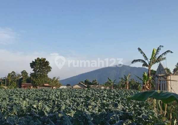 Special Land on the Side of Salatiga Main Road, Very Strategic Special Land on the Side of Salatiga Main Road, Very Strategic