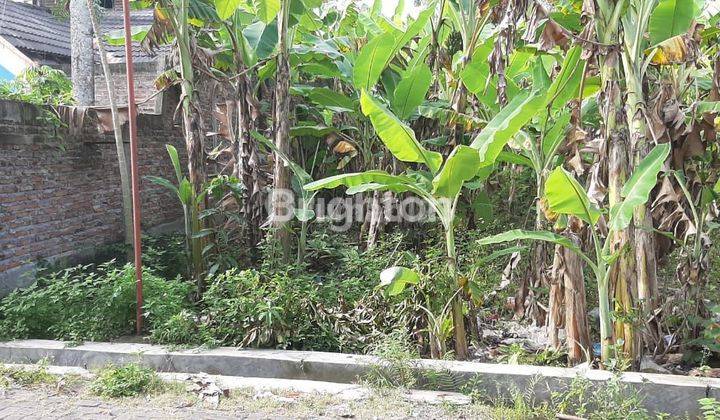 Tanah Strategis Siap Bangun Di Togomulyo 2