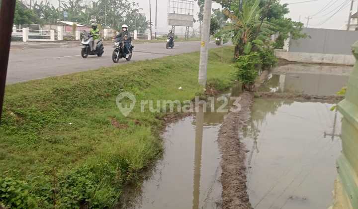 Gubug Purwodadi Land 1500m² Strategic Location Wide Front Road