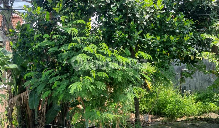 Dijual Tanah Siap Bangun Lokasi Strategis Arya Mukti Semarang 1