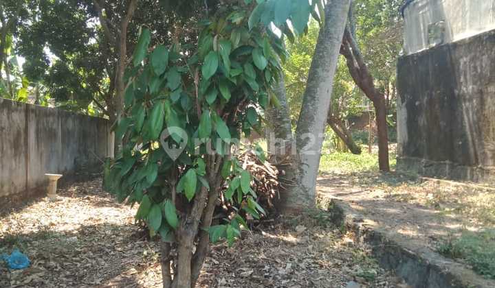 Dijual Tanah Lokasi Strategis di Ngaliyan Bringin Semarang 2