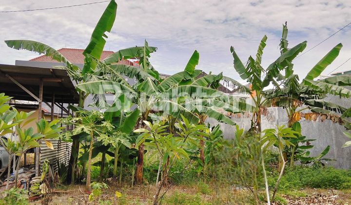 Tanah Strategis Siap Bangun Di Dolog Dekat Raya Woltermongisi  1