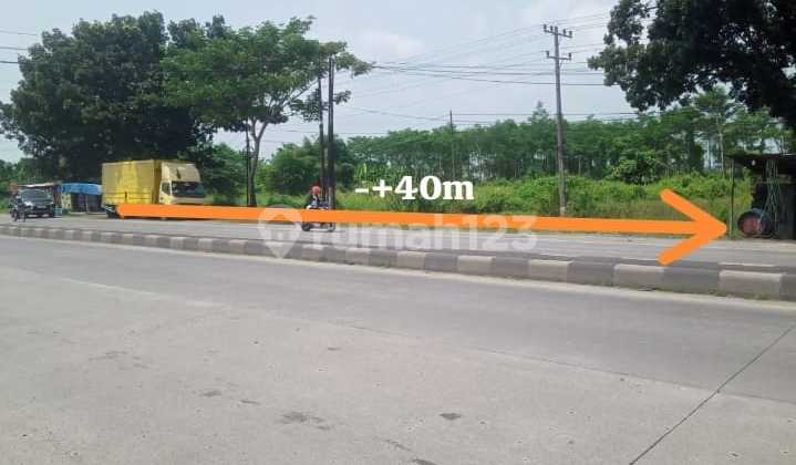 2.2 Hectares of Land with SHM Located on the Pantura Route, Weleri, Kendal, Central Java 2.2 Hectares of Land with SHM Located on the Pantura Route, Weleri, Kendal, Central Java