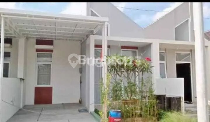 DIJUAL CEPAT BU RUMAH FULL RENOVASI DEKAT MASJID AGUNG SEMARANG 1