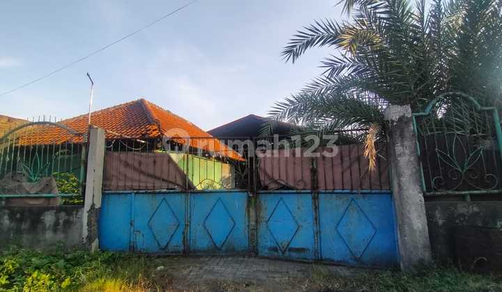 Bandungrejo Mranggen Warehouse, Strategically Located by the Roadside. Bandungrejo Mranggen Warehouse, Strategically Located by the Roadside.