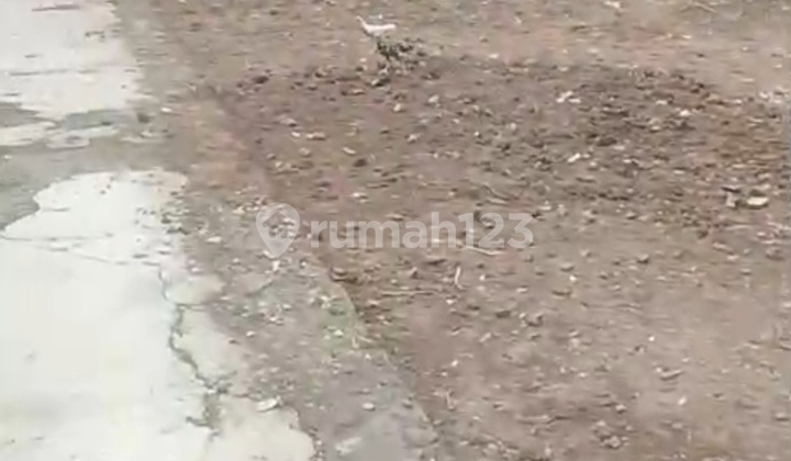 Land for Sale with Strategic Hook Location in Tembalang, Semarang 1