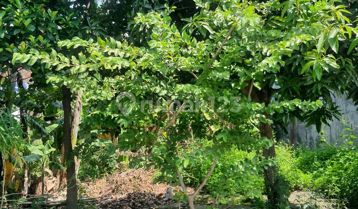 Dijual Tanah Siap Bangun Lokasi Strategis Arya Mukti Semarang 2