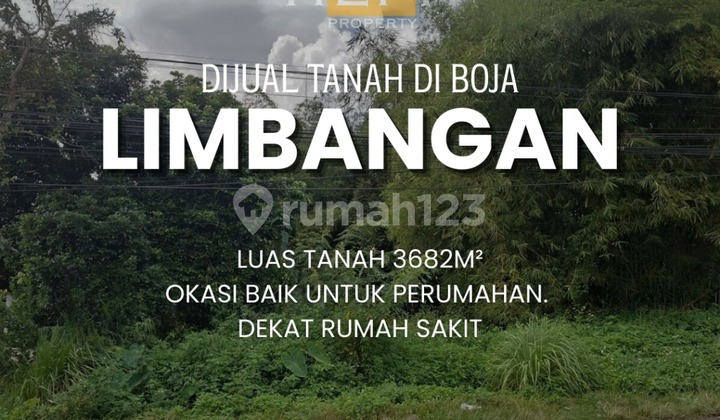 Tanah Murah untuk Perumahan Tanah Murah untuk Perumahan