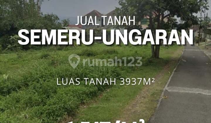Tanah di Jalan Semeru Ungaran, cocok untuk perumahan atau kavling slow Living, lahan subur dan 3,2 km dari pintu tol Ungaran, 35 meter dari jalan utama Ungaran Semarang 1
