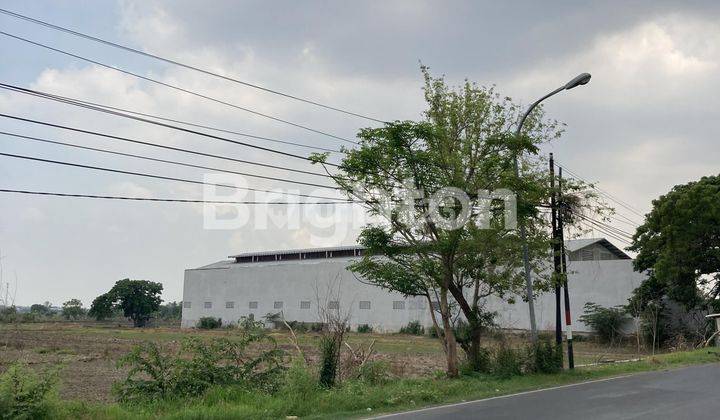 Tanah 0 Jalan Raya Plot Industri 4,5hektar Murah Banget Bonus Subsidi Urug 1