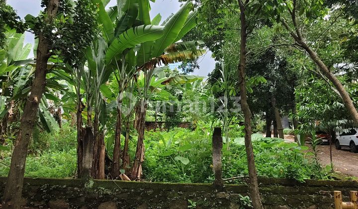 Tanah Kavling Strategis di Ddn Alternatif Cibubur