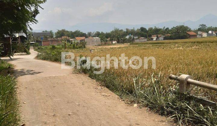 Cepat Lahan Sawah Produktif Di Ciparay 2