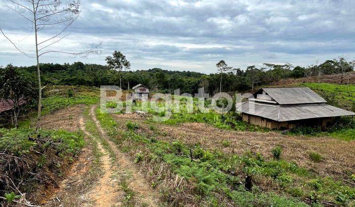 DIJUAL TANAH DI KM 8 DEKAT STT MIGAS DAN PERUMAHAN EL FAZZA LAND 2