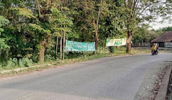 Dijual Tanah Strategis Pinggir Jalan Kecamatan Pangkalan Kab. Karawang 1