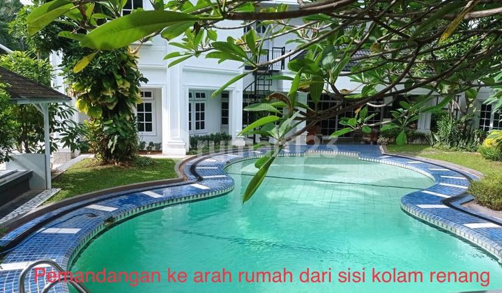 Di Jual Rumah Mewah di Perumahan Bukit Permai Siap Huni Dilengkapi dengan Kolam Renang 2