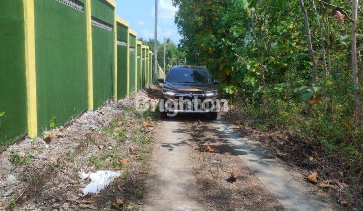 TANAH DATAR SIAP BANGUN AREA SENTOLO KULON PROGO YOGYA 2