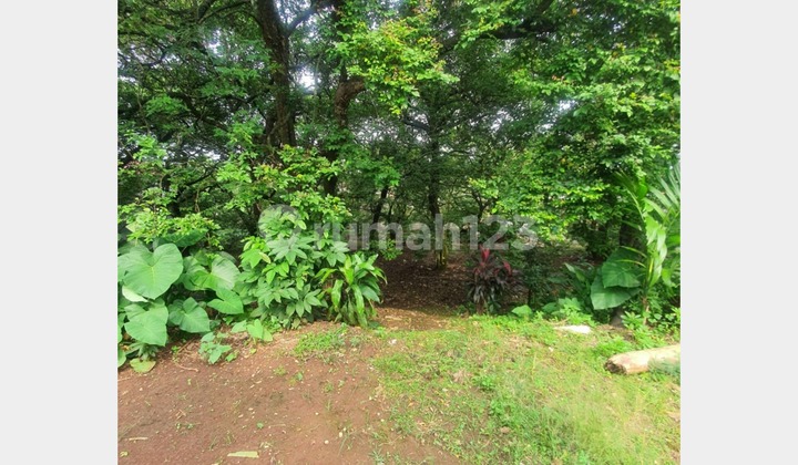 Tanah Luas Harga Murah di Rangkapan Jaya, Pancoran Mas