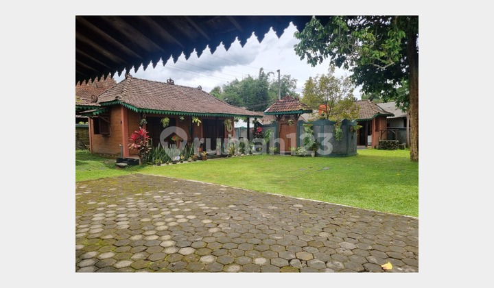 Villa Tradisional Jawa di Turi Sleman - Tanah Luas