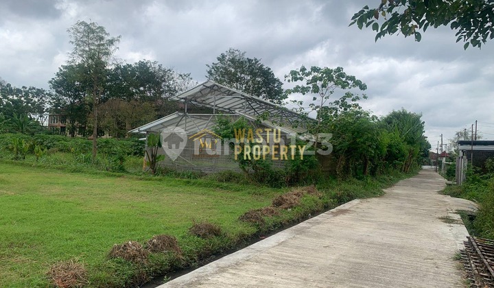 Tanah Luas di Gamping Sleman Dekat Ringroad Utara