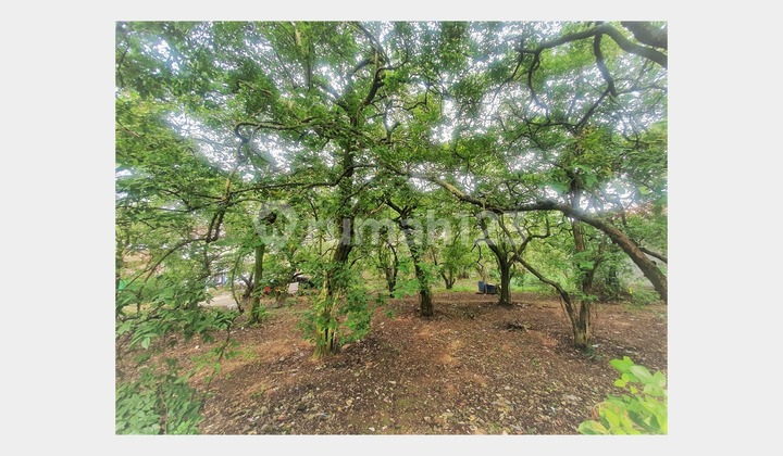 Tanah SHM Lahan Luas di Pancoran Mas Dekat Detos Mall Tanah SHM Lahan Luas di Pancoran Mas Dekat Detos Mall