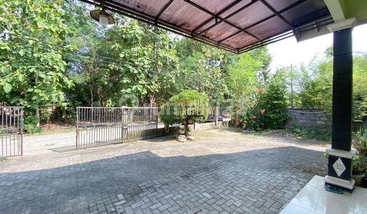 Rumah Murah Dekat Kampus Mercu Buana Sedayu, Tanah Luas 2