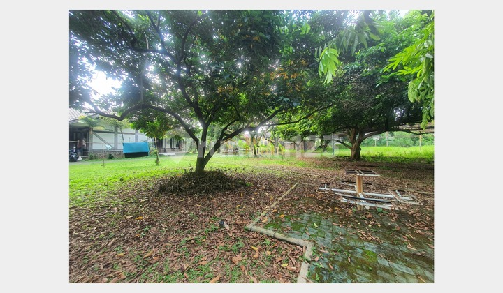Prospective Land in Cinere Near the Grand Mosque