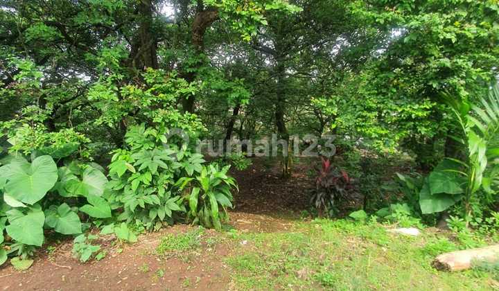 Investasi Tanah Luas di Rangkapan Jaya Depok Investasi Tanah Luas di Rangkapan Jaya Depok