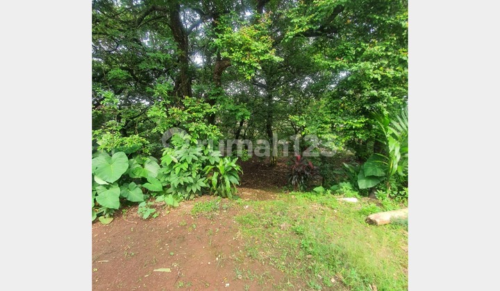 Tanah Luas SHM di Jantung Rangkapan Jaya, Depok Tanah Luas SHM di Jantung Rangkapan Jaya, Depok