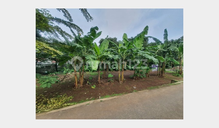 Tanah Luas Harga 3 Juta Per Meter di Rangkapan Jaya Tanah Luas Harga 3 Juta Per Meter di Rangkapan Jaya