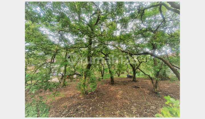 Cheap Land in Densely Populated Area Pancoran Mas Depok