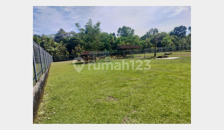 Wide Land in Wedomartani Sleman, Flat Contour Ready to Build Wide Land in Wedomartani Sleman, Flat Contour Ready to Build