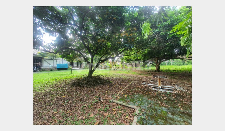 Tanah Premium Cinere Depok, Luas Legalitas SHM Tanah Premium Cinere Depok, Luas Legalitas SHM