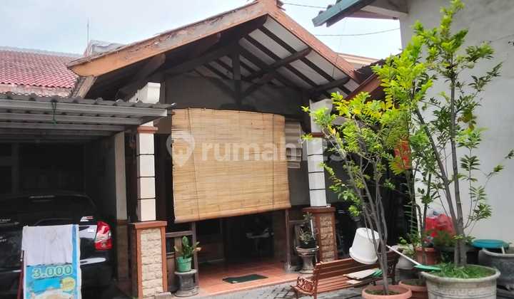 Rumah Mewah Siap Huni 3Kt Kawasan Strategis Cocok untuk Usaha Rumah Mewah Siap Huni 3Kt Kawasan Strategis Cocok untuk Usaha