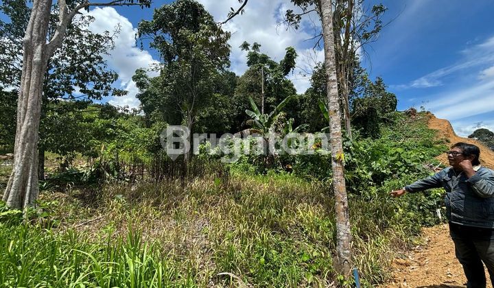 DIJUAL TANAH MURAH DI JALAN M SAID TENGAH KOTA SAMARINDA 2