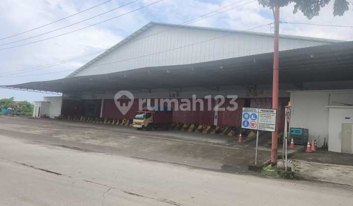 Cheap Warehouse for Sale in Pattene Warehousing, Maros, Makassar, South Sulawesi Cheap Warehouse for Sale in Pattene Warehousing, Maros, Makassar, South Sulawesi