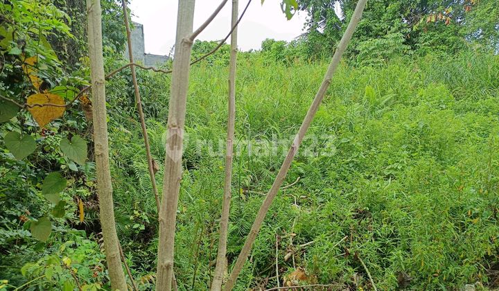 Dijual Tanah Murah Di Jalan Embun Suryana Sambutan Samarinda