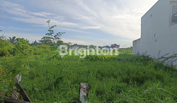 DIJUAL TANAH MURAH DI JALAN BELATUK UNMUL KOTA SAMARINDA