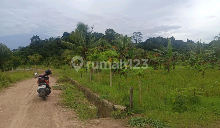 Dijual Tanah Di Jalan Simpang Pasir Palaran Samarinda Seberang