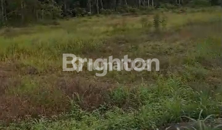 FOR SALE CHEAP LAND PLOT BY THE MAIN ROAD ON RINGROAD 2 STREET, SAMARINDA CITY