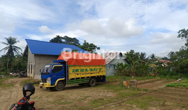 TANAH MURAH DI JALAN SIMPANG PASIR PALARAN SAMARINDA SEBERANG 1