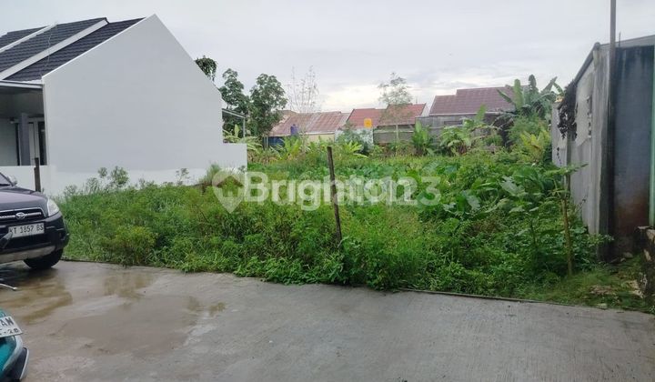 TANAH MURAH PADAT PENDUDUK DI GUNUNG LINGAI LEMPAKE KOTA SAMARINDA