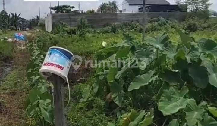 Dijual Cepat Dan Murah Tanah Di Jalan Perjuangan Unmul Kota Samarimda