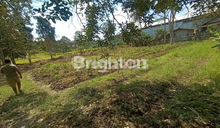 FOR SALE CHEAP LAND ON TANAH MERAH MAIN ROAD, SAMARINDA CITY