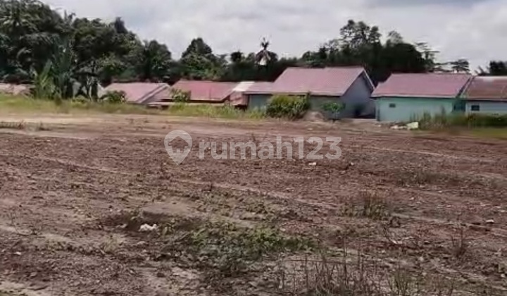 Dijual Murah Tanah Pinggir Jalan di Jalan Sukorejo Lempake Samarinda Dijual Murah Tanah Pinggir Jalan di Jalan Sukorejo Lempake Samarinda