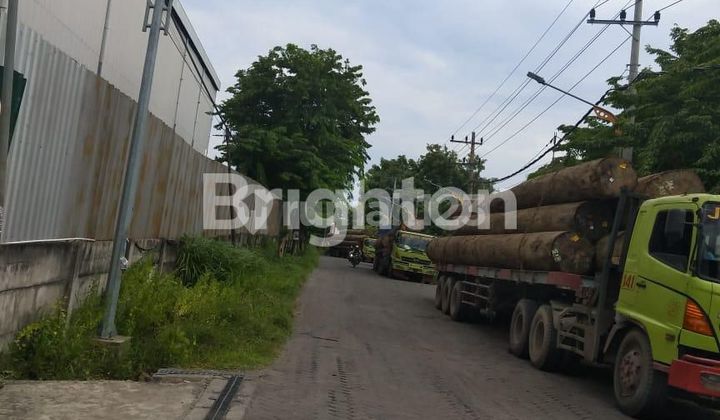 PABRIK KAYU GRESIK PABRIK KAYU GRESIK