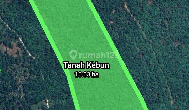 Dijual Murah Kebun Produktif Di Serang Banten 1